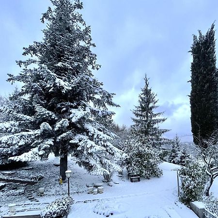 Mazzetti Country House-Vita In Campagna Con Giardino Vimignano-Chiesa Bagian luar foto