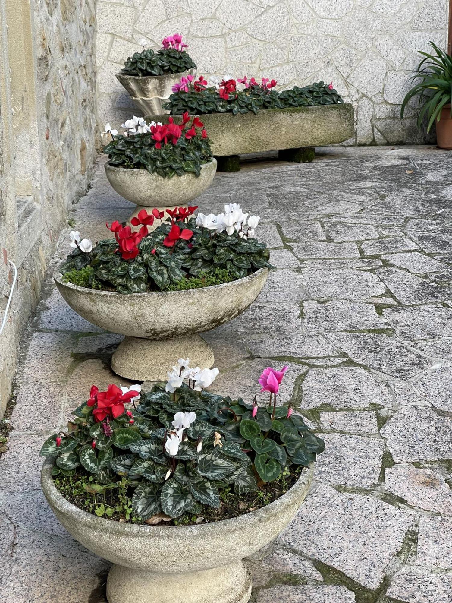 Mazzetti Country House-Vita In Campagna Con Giardino Vimignano-Chiesa Bagian luar foto