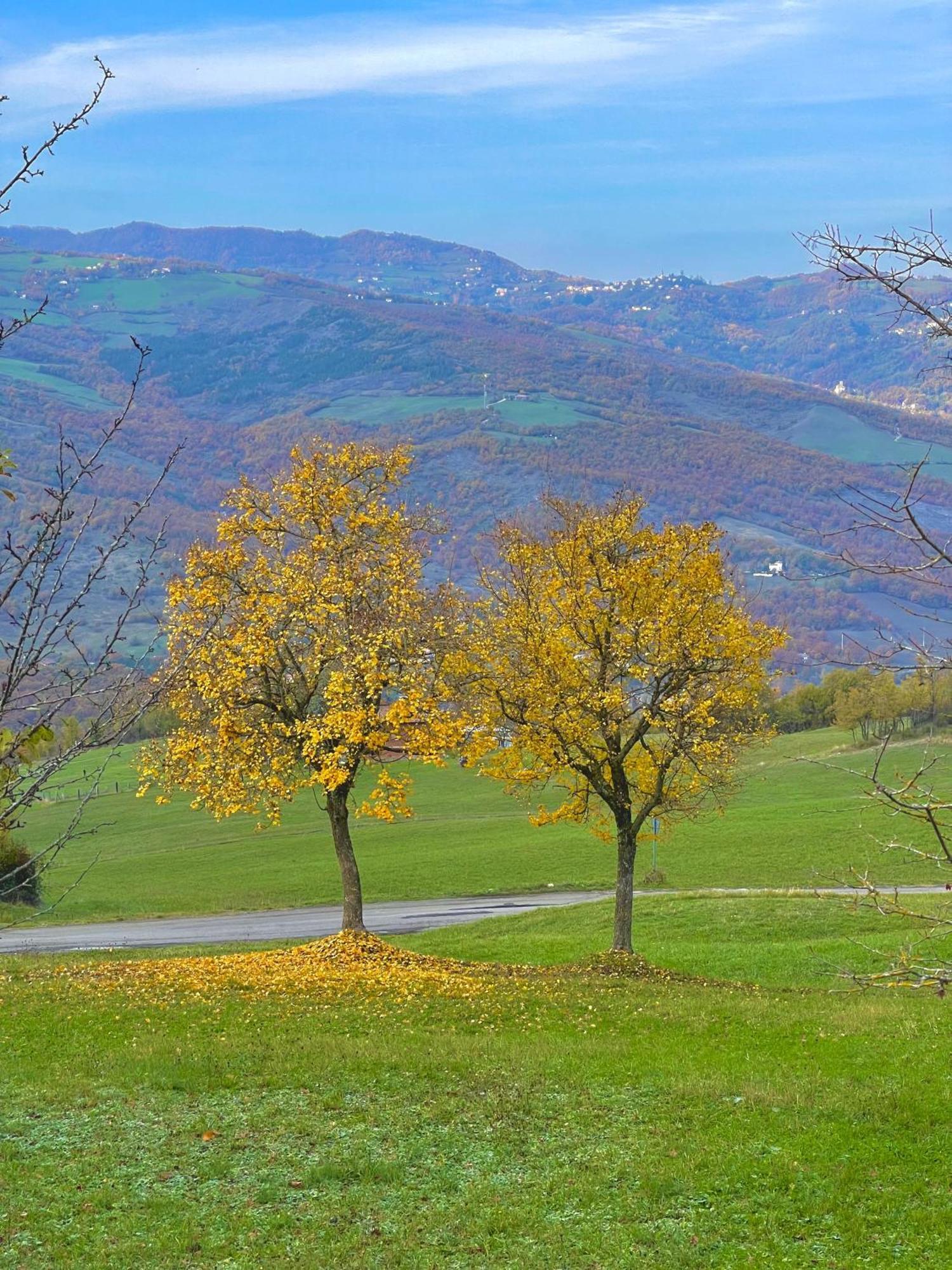 Mazzetti Country House-Vita In Campagna Con Giardino Vimignano-Chiesa Bagian luar foto