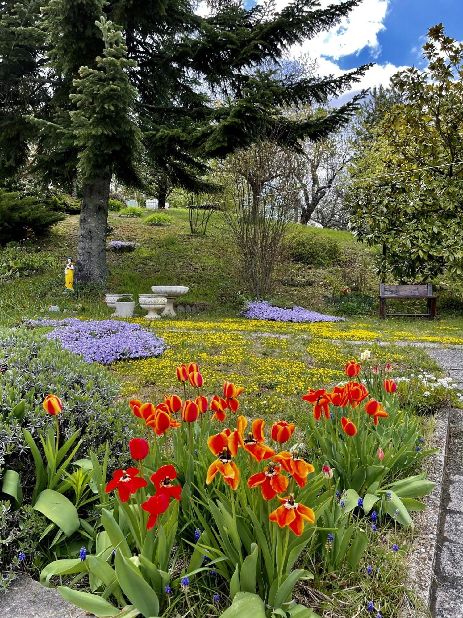 Mazzetti Country House-Vita In Campagna Con Giardino Vimignano-Chiesa Bagian luar foto