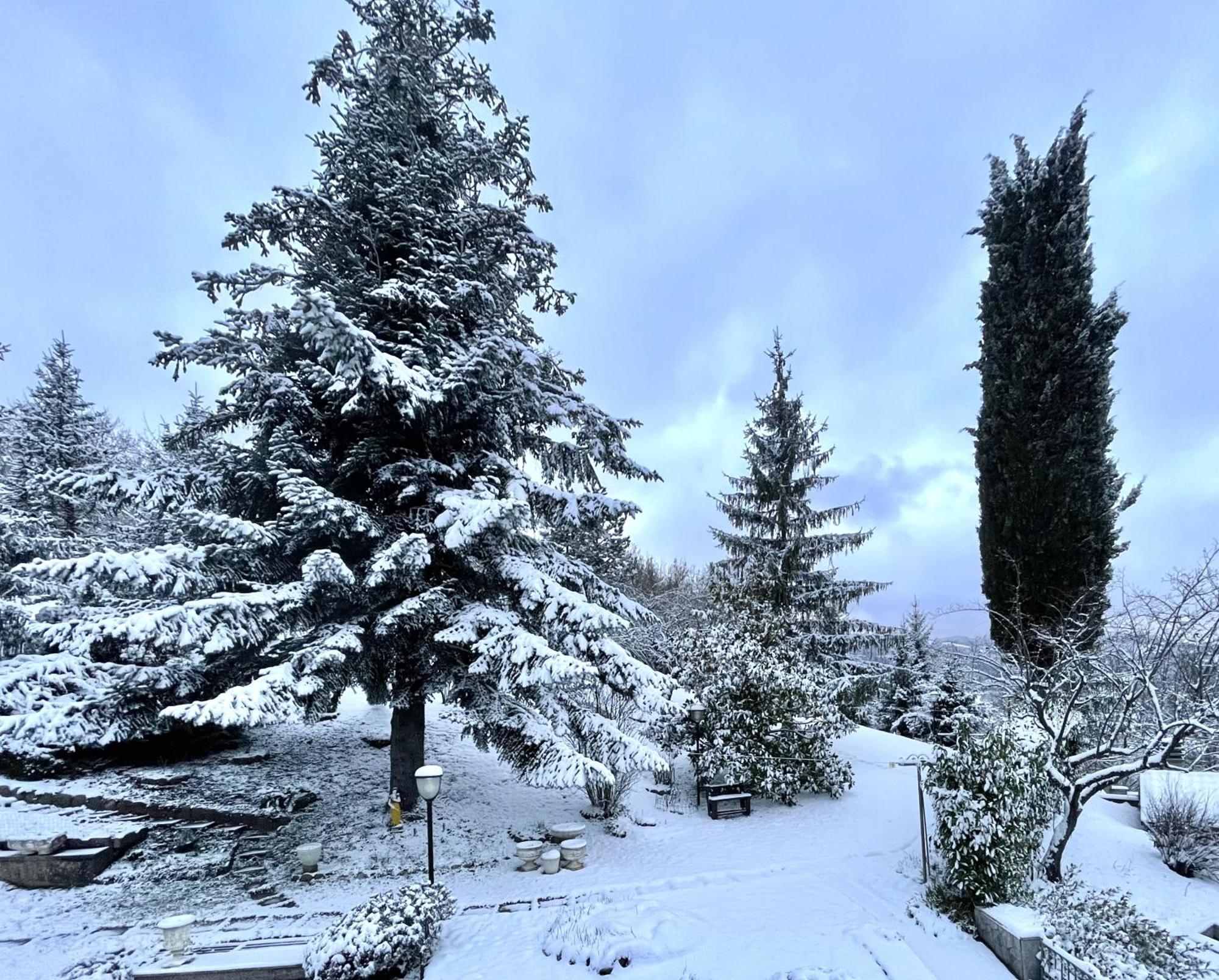 Mazzetti Country House-Vita In Campagna Con Giardino Vimignano-Chiesa Bagian luar foto