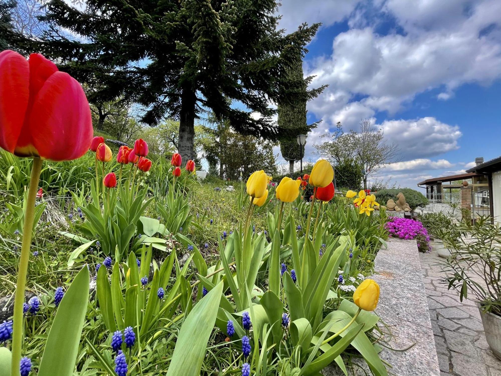 Mazzetti Country House-Vita In Campagna Con Giardino Vimignano-Chiesa Bagian luar foto