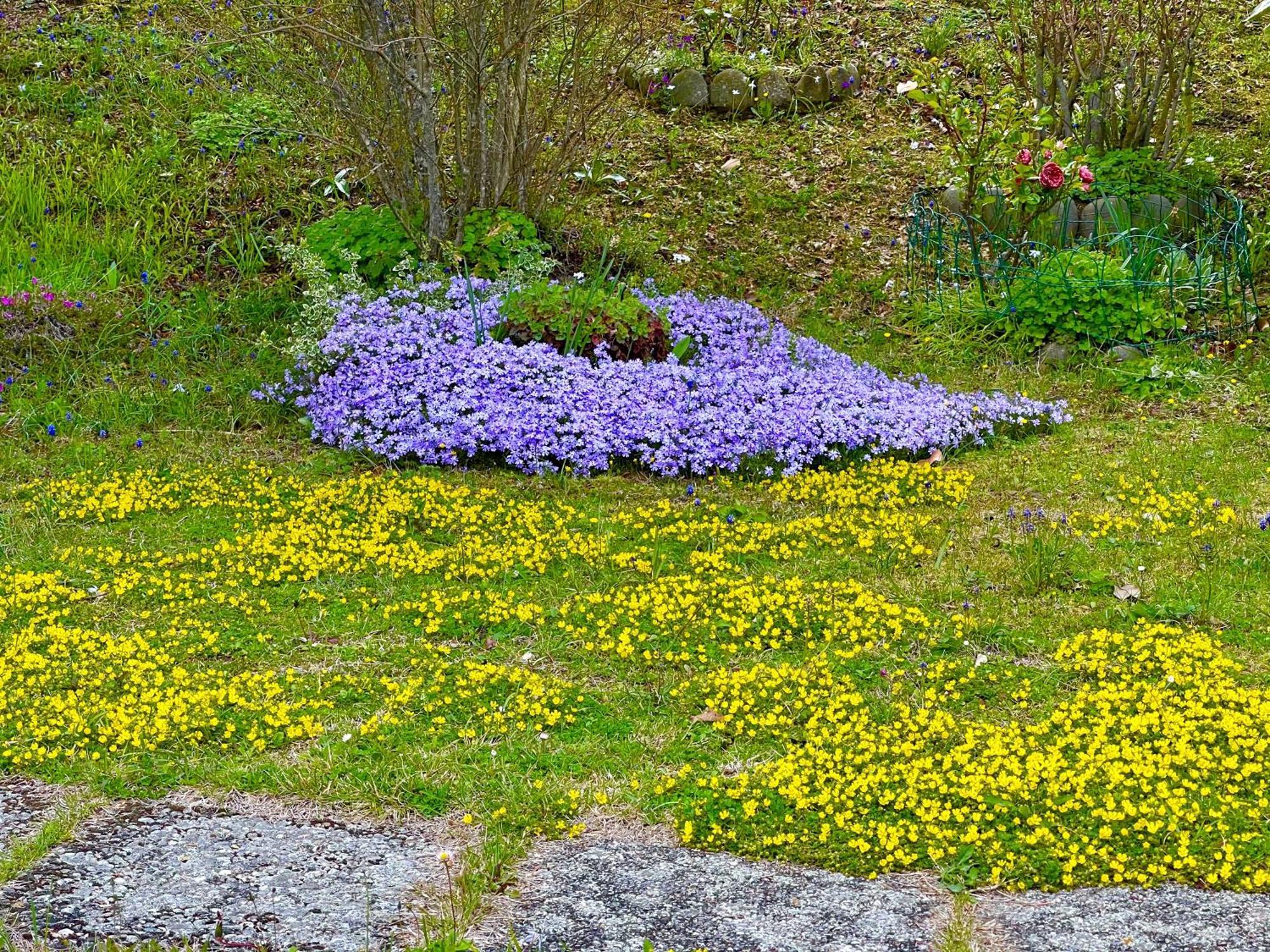 Mazzetti Country House-Vita In Campagna Con Giardino Vimignano-Chiesa Bagian luar foto