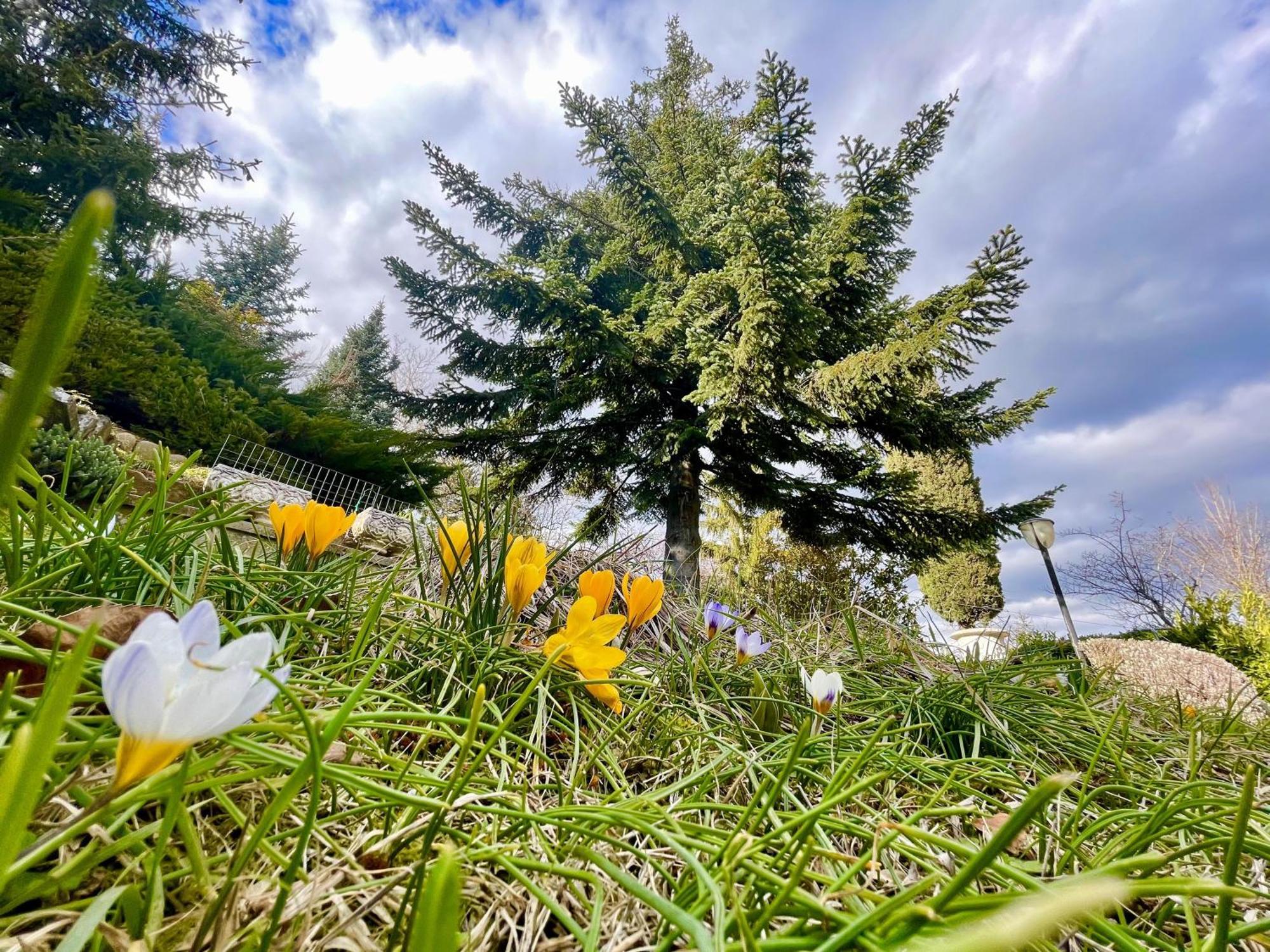 Mazzetti Country House-Vita In Campagna Con Giardino Vimignano-Chiesa Bagian luar foto