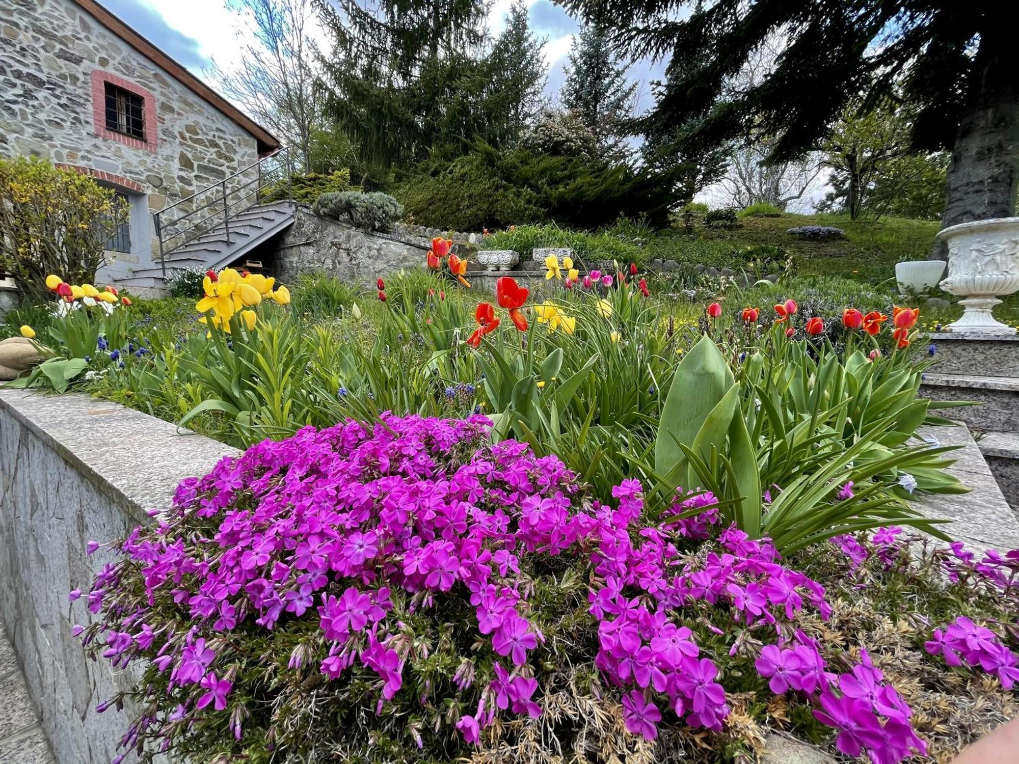 Mazzetti Country House-Vita In Campagna Con Giardino Vimignano-Chiesa Bagian luar foto