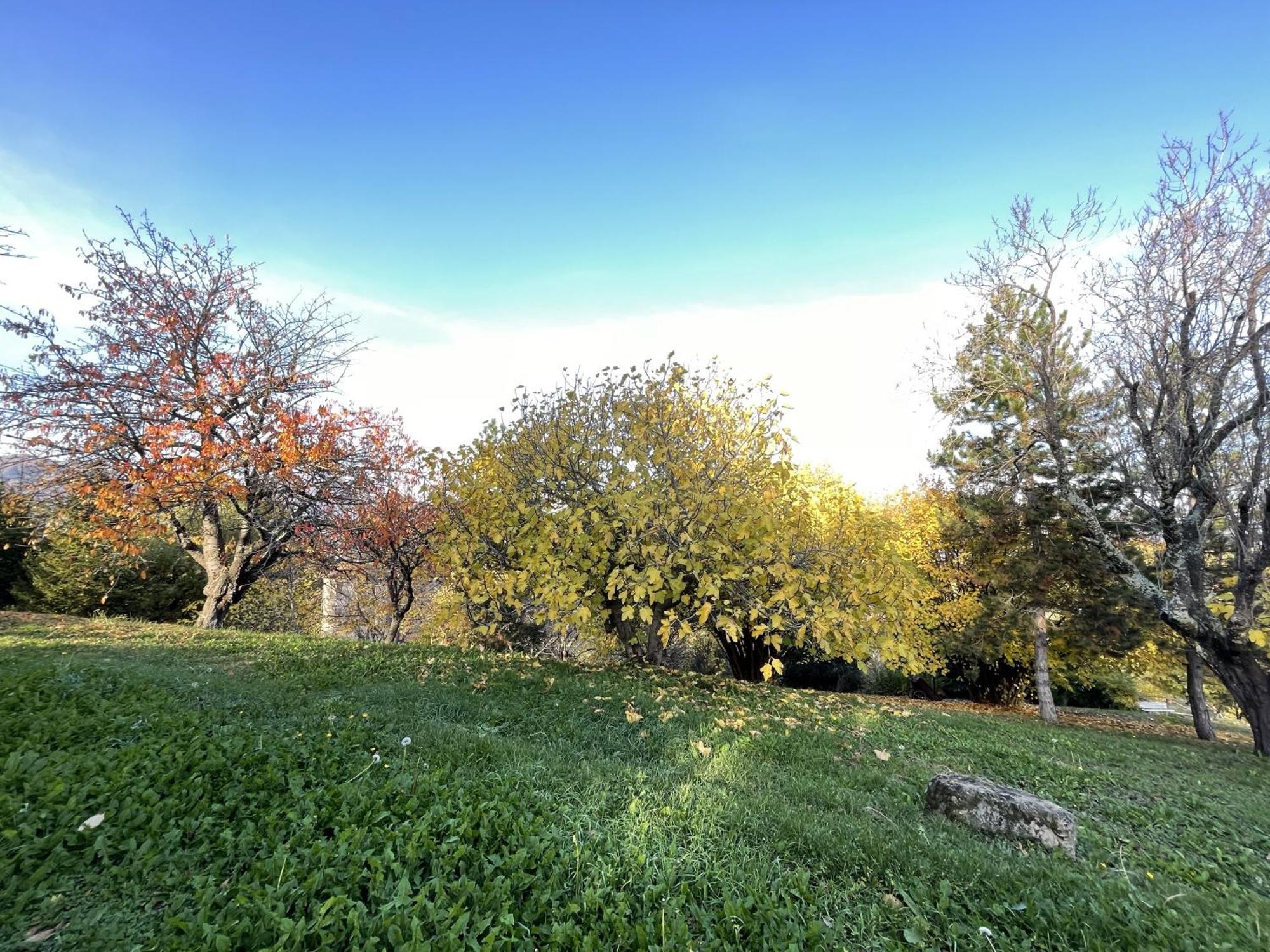 Mazzetti Country House-Vita In Campagna Con Giardino Vimignano-Chiesa Bagian luar foto