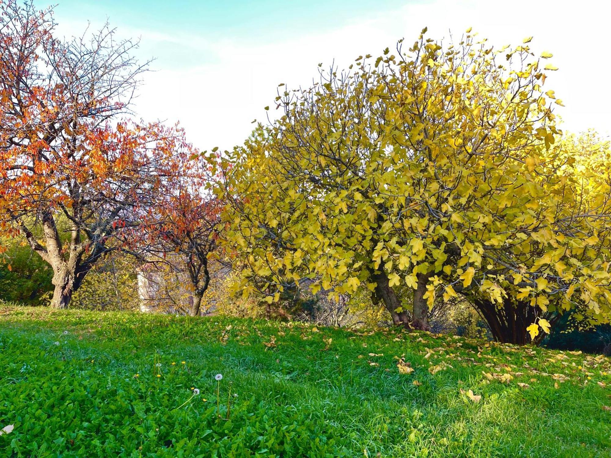 Mazzetti Country House-Vita In Campagna Con Giardino Vimignano-Chiesa Bagian luar foto